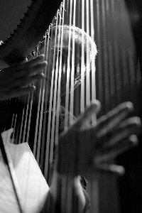 Ralf Kleemann - New Celtic Harp